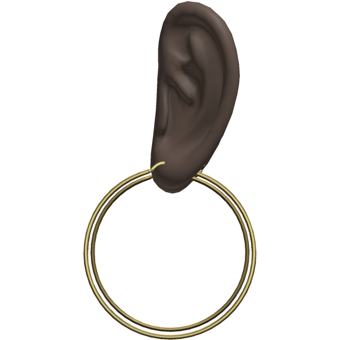 Gold Thin Hoop Earrings Ears