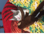 cats and kittens house