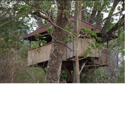 Treehouse
