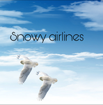 Snowy airlines