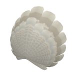 Large Silver Turkey Tail