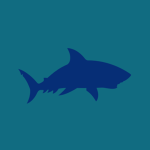 Shark Is Coming by Frameworks