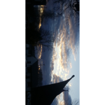 Morgan_loser