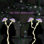 Violet Mushroom’s