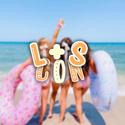 ☆ L+S Con hangout ☆