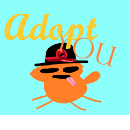 [Adopt you]