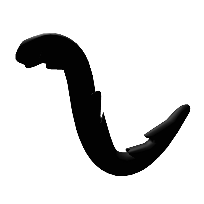 Black Cat Tail