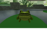 frog group join plz