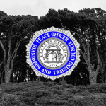 Georgia Peace Officers Standards and Training