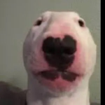 Drakes epic gamer group