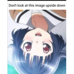 nokgud's fan base