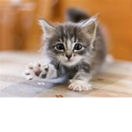 !~Noob to Cute~!