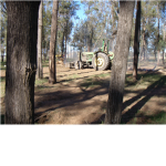 Outback Australian's