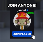 Join Any Player Group