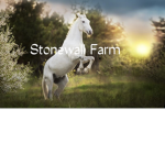Stone Wall Farms