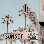 ~sunset boulevard~