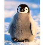 Penguin Troopers
