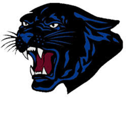 [NRFL] L.A Panthers: Panthers Stadium