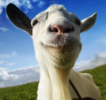 stest1223