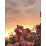 Summer blooms