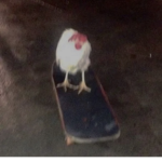 d(M)v