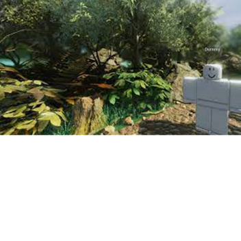 Dummy atack! (JUNGLE)