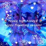 Royale High Honey$