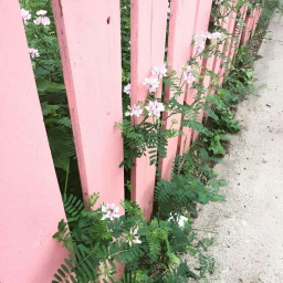 ♡.──