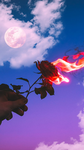 Hot-Flash