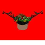 KKCO Türkiye