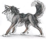 The Awesome wolf clan
