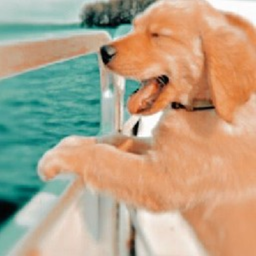 ♡