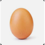 egg clothing group