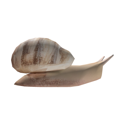 Snail White