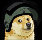 Doge Army [no cats allowed]