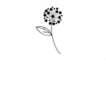 ~||Daisies Dance Academy||~