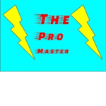 The Pro Master Group