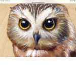 Owl fan
