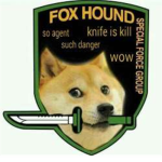 The Pwn Doge clan