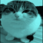 Temple Of Wawa Cat