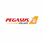 Pegasus airline virtual