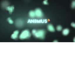 Animus Training