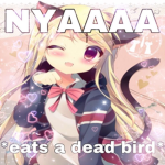 kįtty