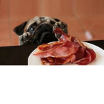 #bacon for ever