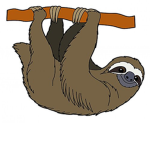 Sloth Squad! :)