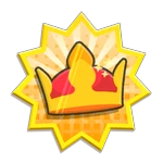 V.I.P Blocks and Perks