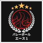 Ace-1 Volleyball Team