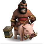 HOG RIDA GROUP