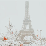 𝐰𝐚𝐥𝐤𝐢𝐧𝐠