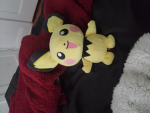Pichu and greninja GROUP FANS